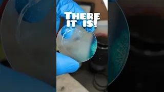 Taking apart a camera lens to clean it