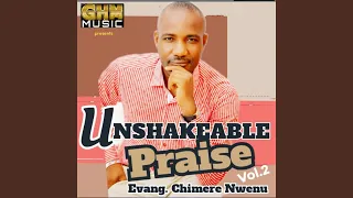 Unshakeable Praise, Vol. 2