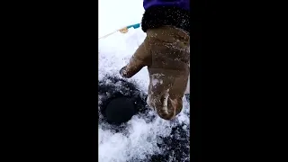 Без этой снасти на рыбалку не хожу. Самодельный МАЛЕК ПЫЗДРИК выручает ВСЕГДА ПРОВЕРЕНО ГОДАМИ...