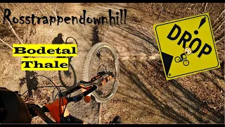 Bikepark BODETAL Thale - ROSSTRAPPENDOWNHILL all Jumps - RAW