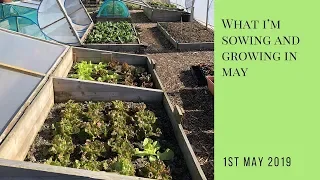 What I'm Sowing and Growing in May