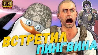 ВСТРЕТИЛ ПИНГВИНА  |  PUBG MOBILE