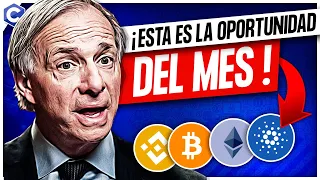 ✅ NO QUIEREN QUE LO SEPAS | Noticias Criptomonedas | Bitcoin | Ethereum | Polkadot | Cardano 🚀