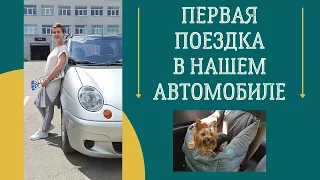 Dogvlog. У нас появился автомобиль! Знакомство с машиной. Йоркширский терьер в автокресле для собак