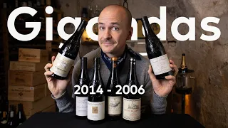 Gigondas - Master of Wine does Deep Dive and Vintage Wine Tasting