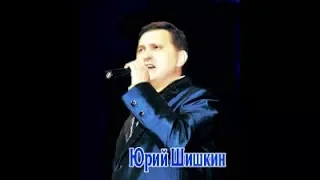 Юрий Шишкин - Я иду по Перми