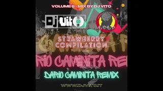 VOLUME 08 - DARIO CAMINITA REMIX - MIX BY DJ VITO