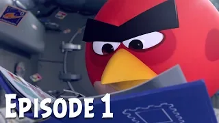 Angry Birds Zero Gravity | Ep. 1 – Stamp Collector