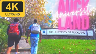 University of Auckland Walk | City Campus Tour | 4K