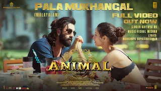 ANIMAL: Pala Mukhangal (Full Video) | Ranbir Kapoor,Tripti Dimri | Sandeep V | Vishal M |Bhushan K