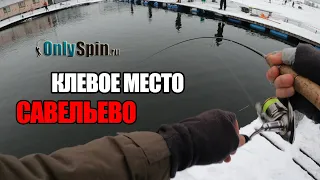 Ловля форели на спиннинг в мороз на блесна и резину. Рыбалка в Клевом месте Савельево. #OnlySpin