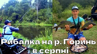 Рибалка на р. Горинь.  Рибалка на СОМА.  Впіймав САЗАНА на фідер!