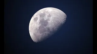 Moon Watch  Live
