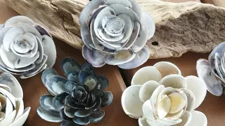 LIVE - Beach Art - Seashell Flowers