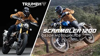 Triumph Scrambler 1200: обзор новинки 2019 года мотоцикла Scrambler 1200