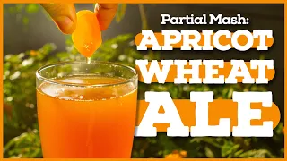 PARTIAL MASH BREWING - Beginner's Guide [Apricot Wheat Beer Recipe]