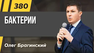 Олег Брагинский. ТРАБЛШУТИНГ 380. Бактерии