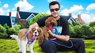 یک روز نگهداری از سگ هام (خیلی سخته) !! 🐶 A DAY WITH MY PETS