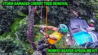Storm Damaged Cherry Tree Removal