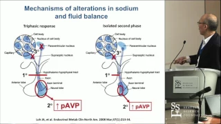 Postoperative Management of Pituitary Tumors - Kevin C.J. Yuen, MD, FRCP(UK), FACE