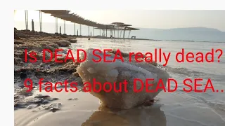 ISRAEL: Is Dead sea really dead? 9 facts about dead sea..