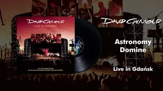 David Gilmour - Astronomy Domine (Live In Gdansk Official Audio)