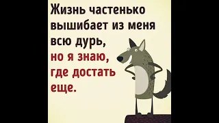 #фразы#жизнь #жиза