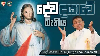 "Divine Mercy" Retreat 2024 | Talk: Fr. Augustine Vallooran VC | English - Sinhala | DRCC