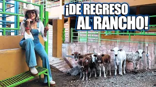 ¡DE REGRESO AL RANCHO! Mostrando los toros, las crías y el pueblo de Juliantla, Guerrero