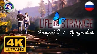 ИГРОФИЛЬМ Life is Strange Эпизод 2 Вразнобой 4K 60FPS 18+ русская озвучка сюжет фантастика