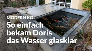 Doris 25.000 Liter Hausteich | Modern Koi Blog #6635