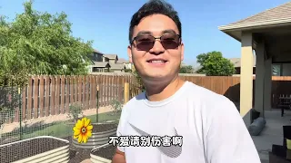 回答最近网友比较好奇的几个点：为什么不生孩子，为什么破坏自家后院？