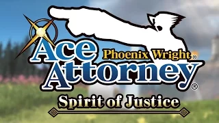 The Basics of the Case - Phoenix Wright: Ace Attorney: Spirit of Justice