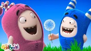 Pogo💗LOVES💗Dandelion | BEST Oddbods Full Episode Marathon | 2023 Funny Cartoons for Kids