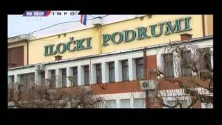 Vino i Vinogradarstvo - Ilocki Podrumi