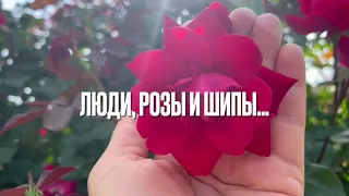 ЛЮДИ, РОЗЫ И ШИПЫ… /христианский стих/ читает автор Анна Юркин@