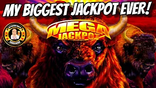 MY BIGGEST JACKPOT EVER! MUST SEE! BUFFALO GOLD! 15 GOLD HEADS!