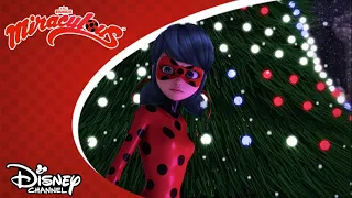 ✨ Karácsonyi keresés | Miraculous | Disney Csatorna