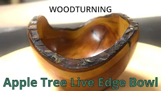 Woodturning: Apple Tree Live Edge Bowl