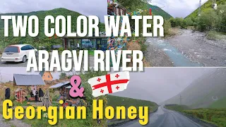 Black and White Aragvi Rivers in Georgia | Natural Honey Testing and it's benefits | Georgian Honey