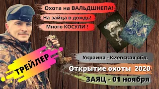 Трейлер. Открытие охоты на зайца 2020 в Украине. Охота на вальдшнепа. Охота на зайца в Украине.