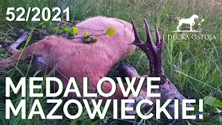 SUDECKA OSTOJA 52/2021.  Polowanie na rogacze "z bryczki" w kole łowieckim "Świt". Hun in Poland