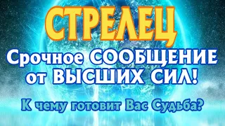 СТРЕЛЕЦ ♐🧚‍♂️🧚‍♂️🧚‍♂️ Срочное СООБЩЕНИЕ от ВЫСШИХ СИЛ К чему готовит Вас Судьба гадание Таро