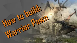How to build an actually useful Warrior Pawn