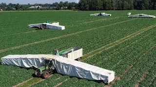 How American Farmers Harvest Thousands Of Tons Of Agricultural Products - American Farming