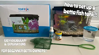 HOW TO SET UP A BETTA FISH TANK - PROPERLY!! (for beginners!!)