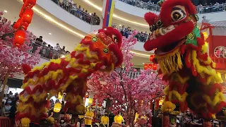 khuan loke acrobatic lion dance @ mid valley megamall CNY 2022