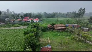 ঘূর্ণিঝড় রিমালে আমাদের কেমন ক্ষয় ক্ষতি হল | Doyel Agro