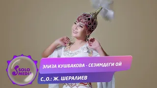 Элиза Кушбакова - Сезимдеги ой / Жаны 2020