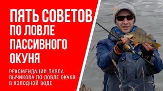 Пять советов по ловле пассивного окуня в холодной воде